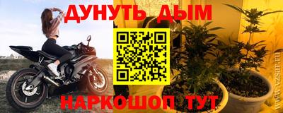 СК Гагарин