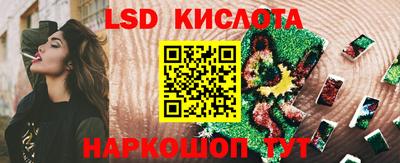 эйфоретик Гай