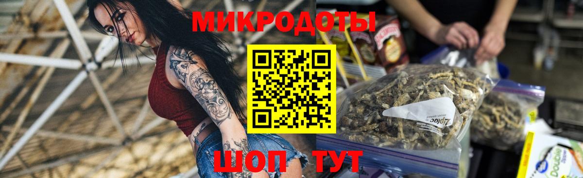 Галлюциногенные грибы Psilocybe Каспийск